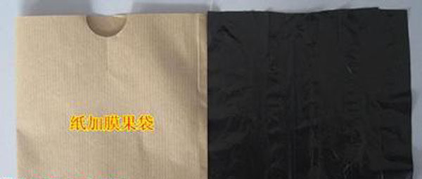 紙加膜果袋用蘋(píng)果袋紙用炭黑